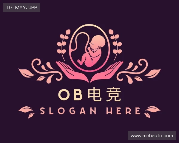 了解OB电竞
